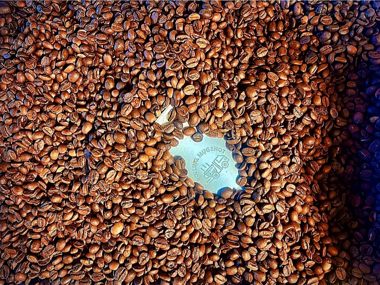 Freshly roasted coffee beans